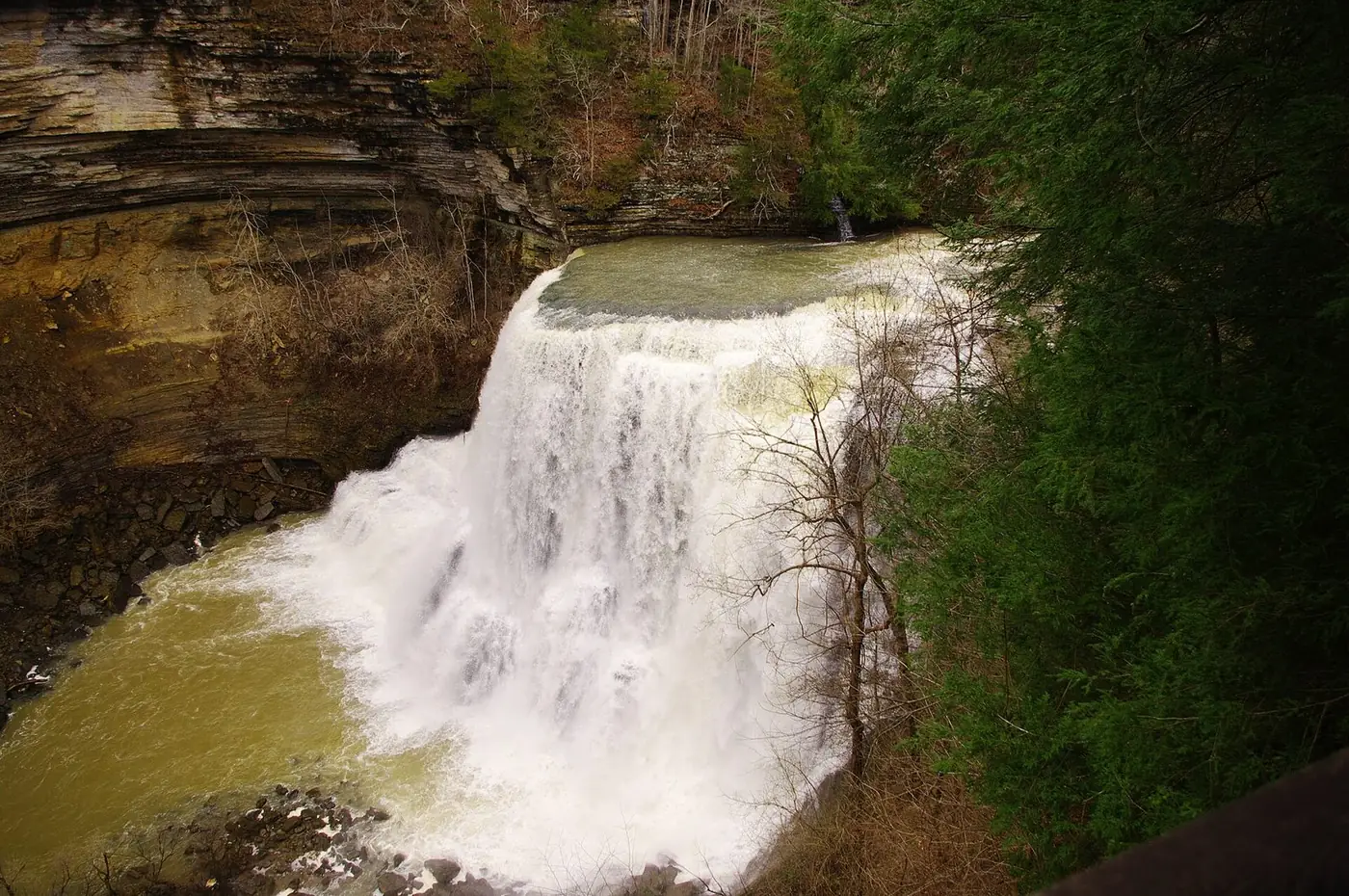 Burgess Falls pouring over a wide rock ledge into a gorge, with trees on both sides