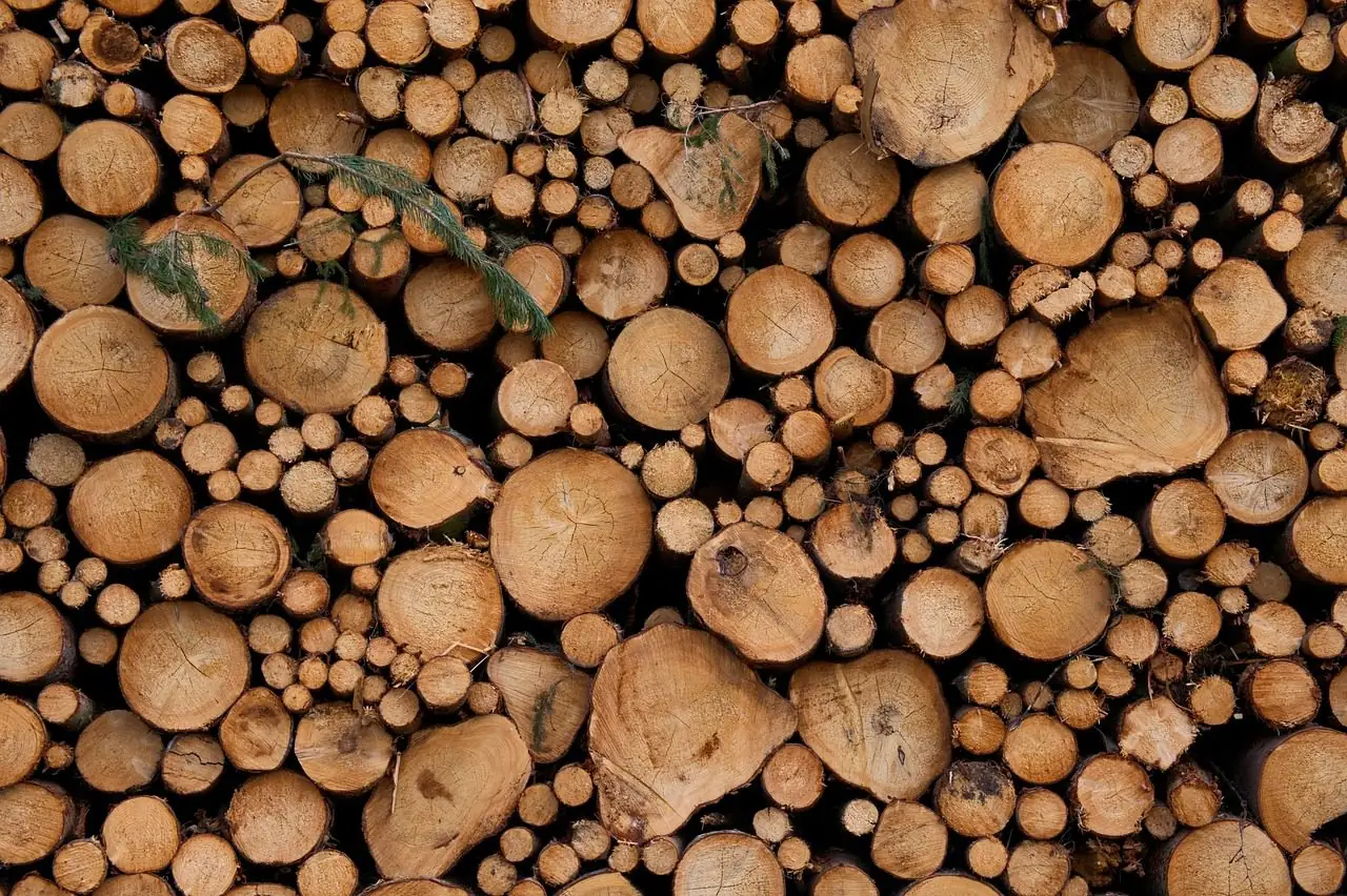A large pile of cut logs seen end-on, in many diameters